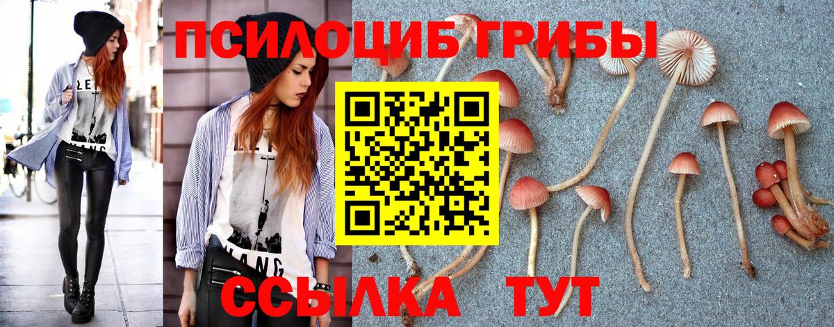 Псилоцибиновые грибы Psilocybine cubensis  наркотики  Чистополь  Вход с VPN 